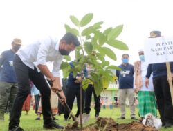 Launching Menanam Bersama Manis di Tanjung Rema Darat