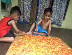 Harga Cabe di Pasar Barabai ‘Gila-gilaan’, Mencapai Rp80 Ribu per Kilogram
