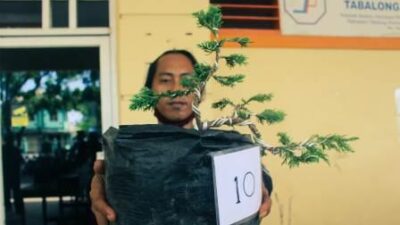 Pameran Bonsai PPBI Tabalong, Pria Asal Desa Hayup Haruai Juara I Lomba Kreasi Bonsai