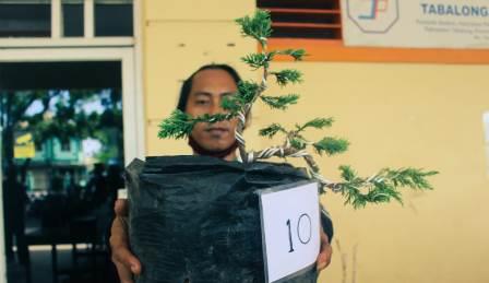 Ruswanto, warga Desa Hayup, Kecamatan Haruai Tabalong memamerkan bonsai hasil karyanya. (foto : arif)