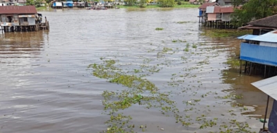 Sungai Muara Basirih di Banjarmasin Selatan ini terlihat keruh dan juga tidak luput dari pemandangan tanaman air. 