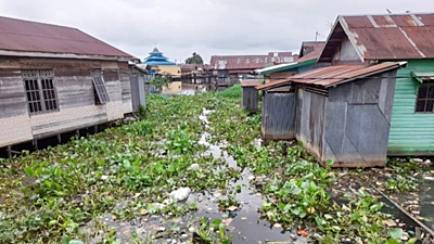 Sungai kecil di Antasan Segra, Jalan Kelayan A Kota Banjarmasin yang penuh dengan tanaman eceng gondok. 