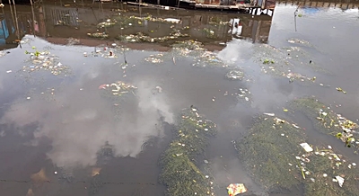 Air Sungai di bawah Jembatan Geriliya Kelayan B keruh dan penuh tanaman sungai. 