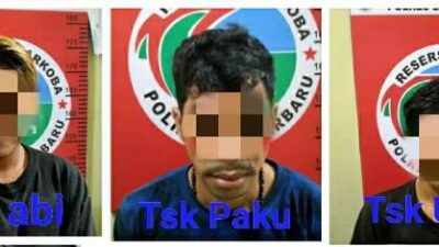 Tiga Sekawan Nyabu Ditangkap dan di Sel Bareng