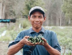 Dukung Program Kementan, Milenial Martapura Sukses Kembangkan Budidaya Cabai
