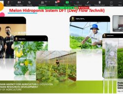 Kementan Berikan Solusi Perubahan Iklim Melalui Smart Farming di Milenial Agriculture Forum