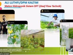 Terapkan Smart Green House, Produktivitas Meningkat Cuan Melimpah