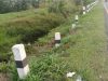Jalan yang longsor seakan tidak terlihat karena sudah ditumbuhi dengan rerumputan dan semak belukar.