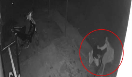 Peristiwa pembunuhan di depan THM, Cafe Booze yang terekam CCTV. (foto: istimewa)