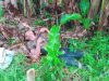 JASAD- Korban saat ditemukan di lokasi kejadian sudah dalam keadaan meninggal dunia.