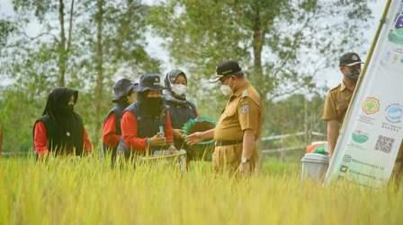Bupati terus melakukan syukuran panen padi di kelompok tani harapan Masa Desa Tabihi.