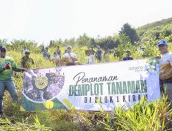 Adaro Tanam 400 Bibit Pohon di Area Air Terjun Janda Beranak Tiga