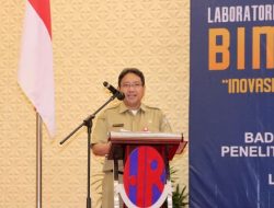 Capai Visi Kabupaten Banjar Manis Dengan Aplikasi Intan Bakilau