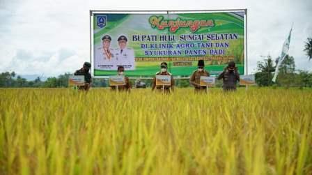 Syukuran Panen Padi. 