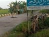 Beginilah kondisi jalan di Desa Beruntung Baru, Kabupaten Banjar, Kalsel.