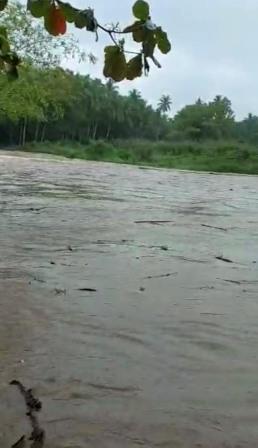 Air sungai Pegunungan Meratus mulai pasang. 