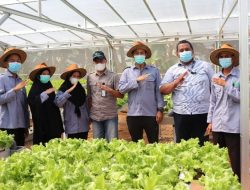 Kementan Teken Kerjasama Program YESS, Siapkan Pemagangan Petani Milenial di Kalsel
