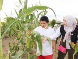 PKK Kabupaten Banjar Akan Edukasi Anak anak Berkebun