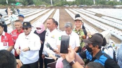 Wamentan RI; Kedaulatan Pangan Memberikan Edukasi kepada Masyarakat