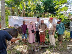 Hengkang dari Demokrat, Kader Gerindra Ini Bagikan 250 Bungkus Daging Kurban Bareng Petani Milenial