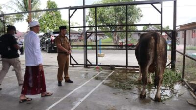 Serahkan Hewan Kurban Pribadi, Wabup Minta Bagikan Kepada Keluarga Yang Memiliki Gejala Stunting