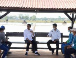 Keren!! Rayndra; Petani Milenial Dengan Omset Miliaran Bareng Ngobrol Jokowi