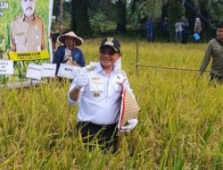Pasarkan Hasil Panen Hingga Ke Banjarmasin, Bupati Kotabaru Genjot Pembinaan Kelompok Tani Sido Makmur