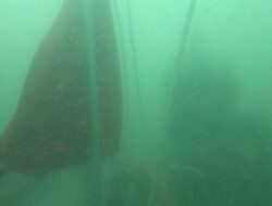 Pengibaran Bendera Merah Putih di Dalam Laut Kotabaru