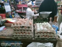 Harga Telur Ayam di Kota Barabai Tembus Rp 31.000 Per Kilogram