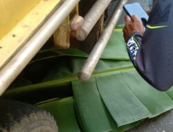 Kecelakaan Maut di Tambak Anyar, Diduga Korbannya Pegawai Pemerintahan