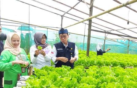Kepala BPPSDMP, Dedi Nursyamsi saat kunjungan kerja mewakili Menteri Pertanian menghadiri Undangan Hari Olah Raga Nasional di Balikpapan, berkunjung ke salah satu petani sukses di Balikpapan, Sabtu, (10/09/2022)