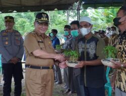 Canangkan Gerakan Tanam Cabe, Bupati Bagikan Bibit Kepada 13 Kelompok Tani