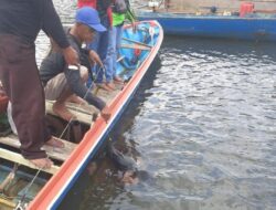 Memancing ke Tengah Laut, Warga Kotabaru Ini Ditemukan Mengapung 