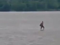 Viral, Manusia Berjalan di Atas Air Pulau Kembang Banjarmasin, Ternyata Faktanya Begini   