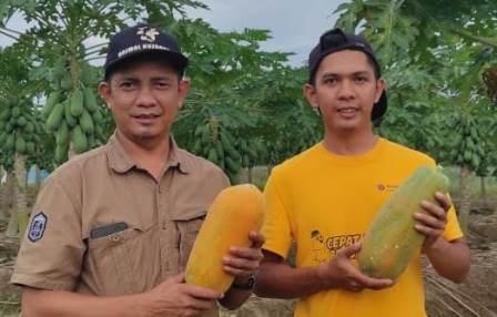 Yandi Aulia Rahman adalah salah satu kaum milenial asal Kecamatan Telaga Langsat Kabupaten Hulu Sungai Selatan Provinsi Kalimantan Selatan.(kanan)