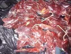 Harga Cabe Kering Melambung Tinggi