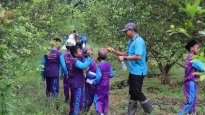 Kenalkan Pertanian Sejak Dini Melalui Wisata Petik Buah di SMKPP Kementan
