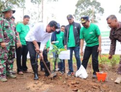 Bupati Banjar Tanam Bibit Pohon di Desa Padang Panjang