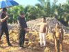 Bupati Kotabaru saat meninjau akses jalan menuju Rumah Sakit Pratama Sengayam beberapa waktu lalu (Sumber Foto: Diskominfo Kotabaru)