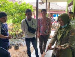 Tingkatkan Keterampilan Petani Muda, Kementan Bekali Advanced Training di Kalsel