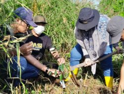 Dukung Gerakan Revolusi Hijau, KPH Gandeng Pengurus JMSI Tanam Bibit Pohon di Wisata Bukit Mamake