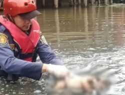 Terungkap Kasus Penemuan Mayat Bayi di Sungai Limamar