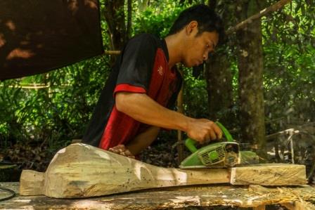 Penipisan Kayu