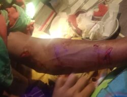 Asyik Membersihkan Kapal, Warga Rampa Cengal Kotabaru Diterkam Buaya
