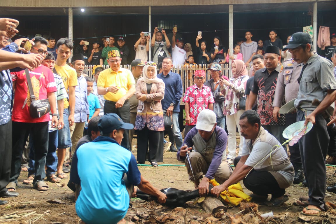 Bupati Kotabaru bersama Ketua TP PKK saat menyaksikan penyembelihan hewan. (Sumber Foto: Diskominfo Kotabaru/Koranbanjar.net)