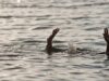 Ilustrasi seorang nelayan tenggelam di laut. (Sumber Foto: Ruang Pers/Koranbanjar.net)