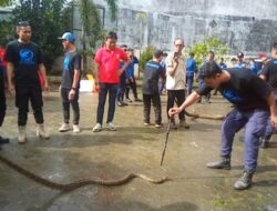 Tingkatkan Skill Penanganan Ular, DPKP Kabupaten Banjar Ikutkan Personil Pelatihan