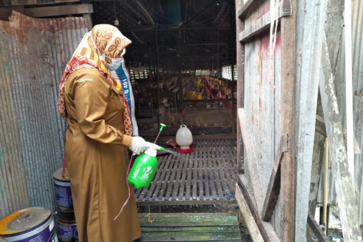 Petugas dari Keswan dan Kesmavet Distan Kabupaten HSU melakukan penyemprotan kandang ternak unggas Itik Peking yang ditemukan kasus Flu Burung. (Foto: Antara/Distan HSU)