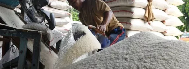 Bikin Gaduh, Bapanas Cabut SE Harga Pembelian Atas Gabah dan Beras