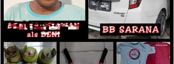 Pencuri Tabung Gas Diringkus Macan Barbar